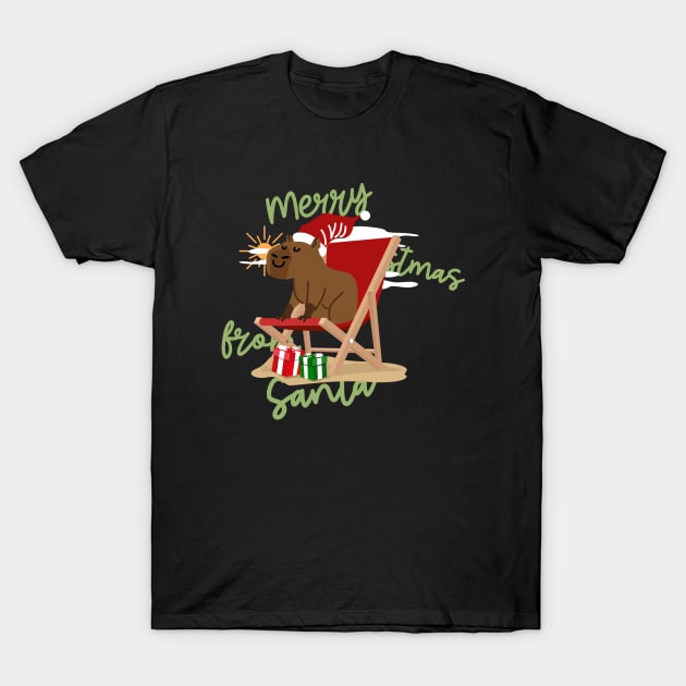 Merry Christmas From Santa Design T-Shirt by ArtPace